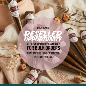 Start Your Mehendi Business from Home Complete Henna Kit